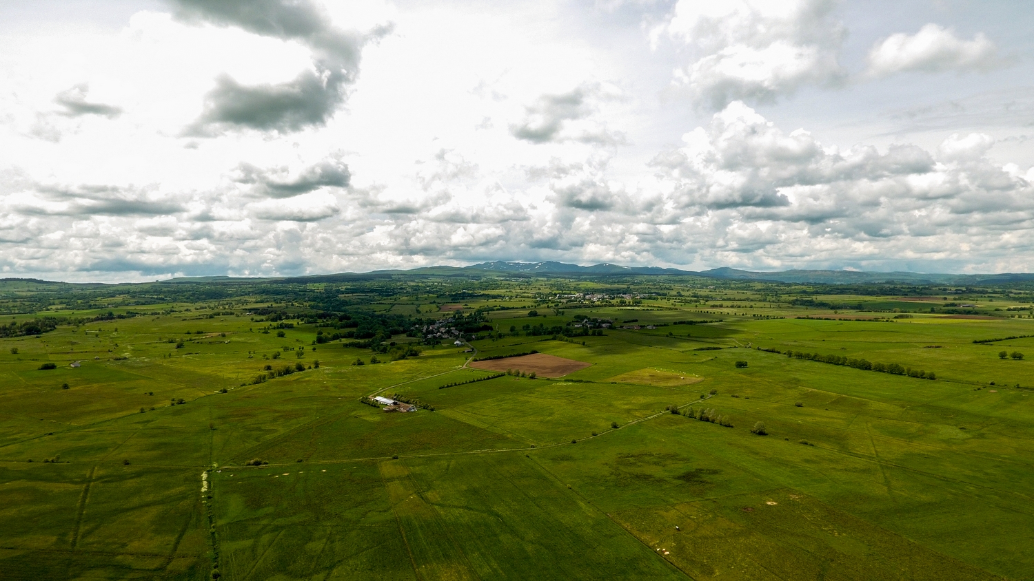 L'Habitat du Courlis Cendré