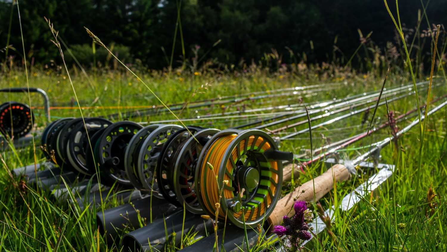 Concours régional de pêche en Auvergne Rhône Alpes