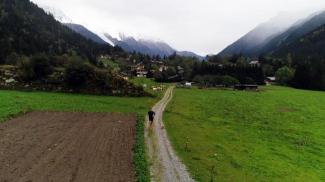 Chamonix : Gobi, le chien marathonien